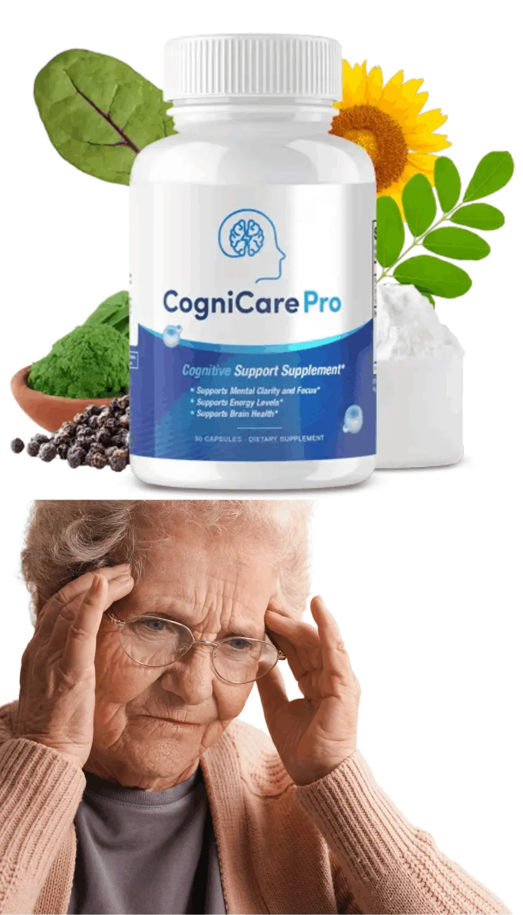 cognicare pro intro